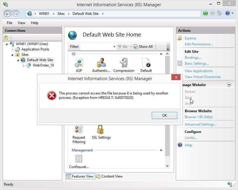 IIS Start Fail