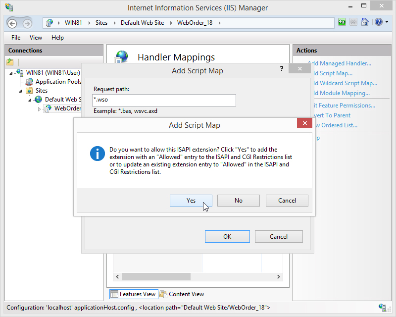 Enable .wso Mapping
