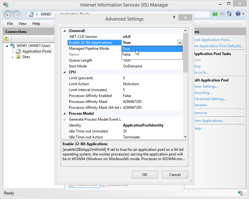 Enable 32-Bit Applications