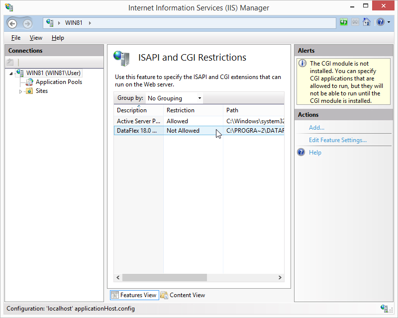 ISAPI Extensions