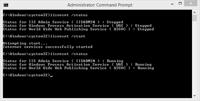 IIS Services Start Verification
