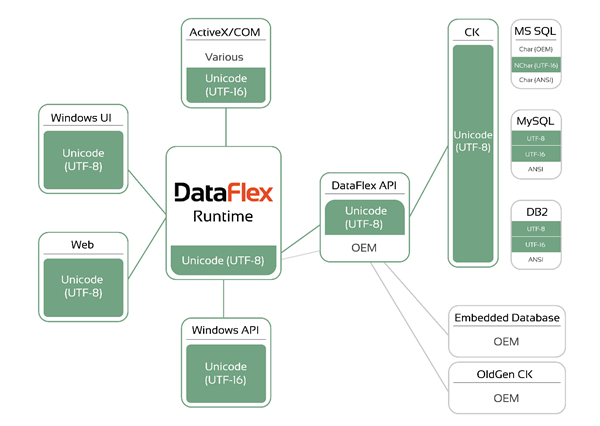 Character Translations in DataFlex 2021 and Higher