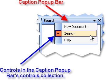 Caption Popup Bar