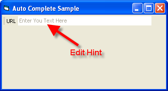 Edit Hint Example