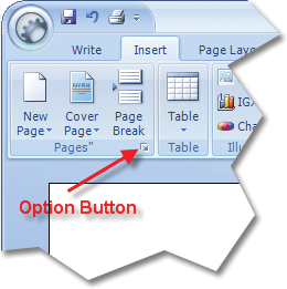 Option Button