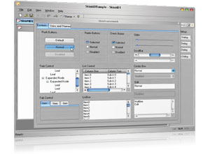 XtremeSkinFramework