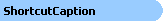 ShortcutCaption Object Model