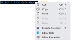 Editor Context Menu Selection Query