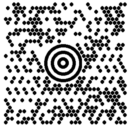 Maxicode Example