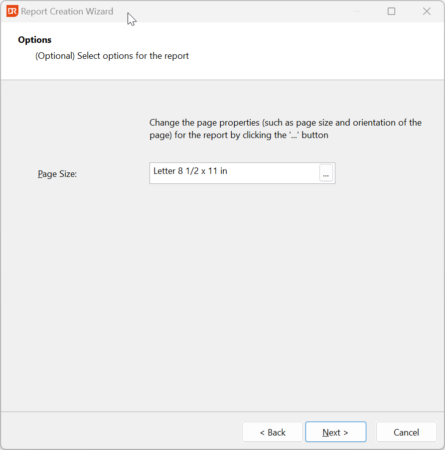 New Report Wizard Options