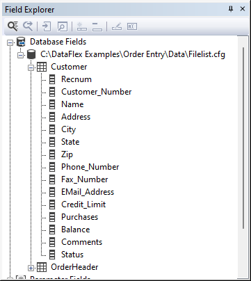 Field Explorer - Database Fields