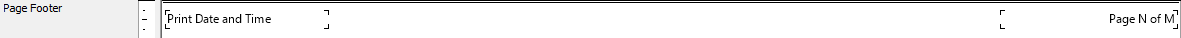 Report Explorer Page Footer
