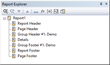 Report Explorer